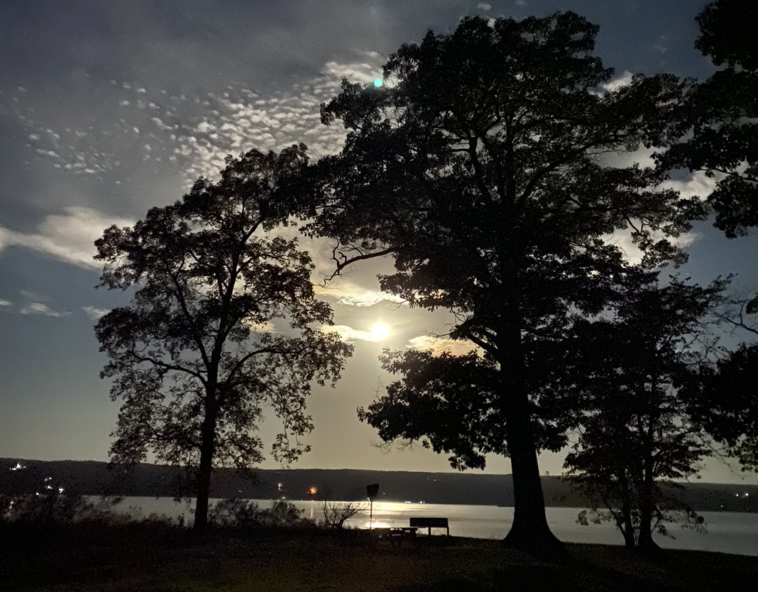 The full moon shines brightly between two trees and some cirrocumulus clouds, still high in the sky at 5 AM.